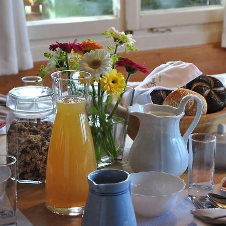 Grosszuegige Ferienwohnung Am Skigebiet Boedele Mit Rheintalblick Dornbirn Exteriör bild