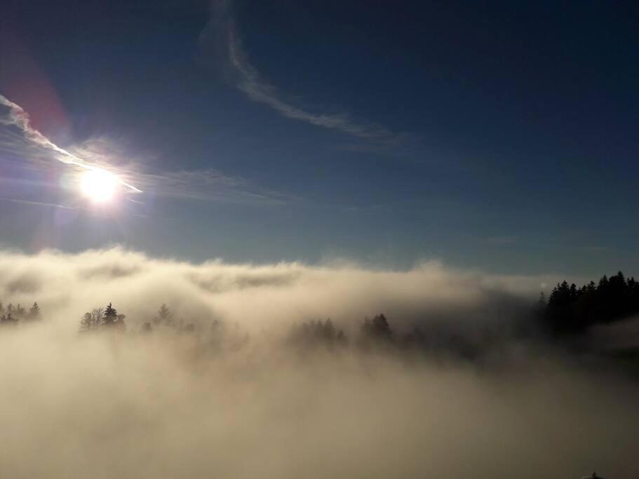 Grosszuegige Ferienwohnung Am Skigebiet Boedele Mit Rheintalblick Dornbirn Exteriör bild